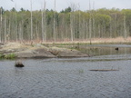 IMG 4587